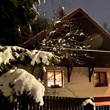 Dom Puchacza W Ladku-Zdroju Villa Ladek-Zdroj Ngoại thất bức ảnh